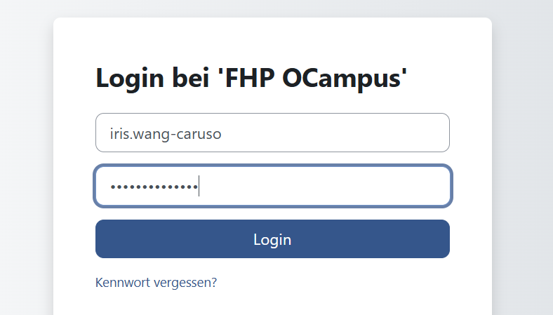 Screenshot Login-Oberfläche mit dem registrierten Account